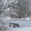 Winter picnic in the park
