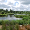 Pensthorpe