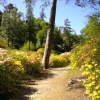 Leonardslee Gardens