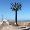 Freedom tree