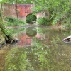 The Little Bridge