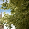 St. George's Church, Evenley, Northants.