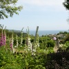 Pecorama gardens