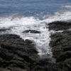 South West Coast path from Morte Point to Woolacoombe
