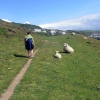 South West Coast path from Morte Point to Woolacoombe