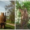 Family Tree