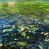 Brothers Water, Hartsop