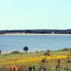 Picnic spot