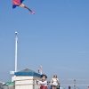 Free as a bird flying a kite