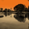 Fen Park