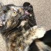 Millie!