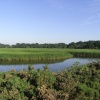 Snape Marshes