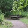 Llangattock Beechwood