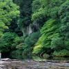 River Ure near Aysgarth