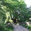 Millbrook Bridge Near (Llangenny)