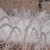 Fountain stopped in motion