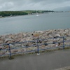 Coast at Rothesay