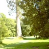Mountstuart