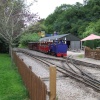 Perrygrove Railway and Treetop Adventure