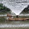 Newent lake and park