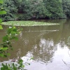 Newent lake and park