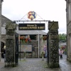 Tavistock
