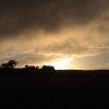 Sedling, Cowshill, County Durham