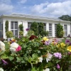 Orangery Mount Edgcumbe House Cremyll Torpoint