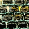 Lobster pots on the quayside