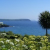 Portscatho vista