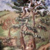 View of trees near Beaumaris