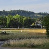 Cricket on the Heath
