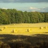 Near Otterburn