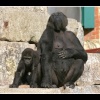 Pass the suncream son