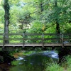 Forge Valley footbridge