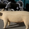 Farm animals on Picket duty outside an Asda Store in Wheatley