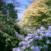 Birmingham Botanical Gardens in Bloom - Part 8