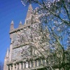 Evesham - Church of All Saints in bloom !