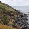 Lizard Point