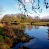 Horstead