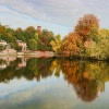 Autumn in Shrewsbury