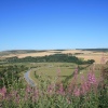 View of the Cuckmere Valley