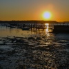 Sunset at Poole Harbour