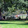 A sunny Colehill Sunday