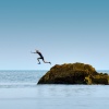 Jump!