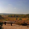 Arne In Dorset