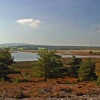 Arne in Dorset