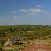 Arne in Dorset