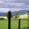 Cowden