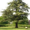 Pershore